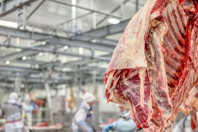 Industria frigorífica proyecta inversión extranjera de USD 45 millones en el Chaco paraguayo - MarketData