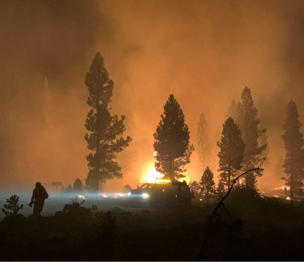 Un gran incendio forestal crece en EEUU y obliga a nuevas evacuaciones | Ñanduti
