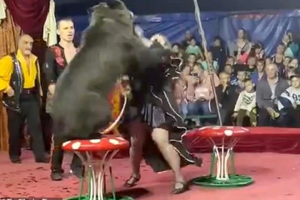 El aterrador momento en que un oso ataca a su entrenadora en medio de un show infantil | Ñanduti
