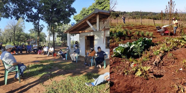 PROMUEVEN CULTIVO DE PAPA COMO ACTIVIDAD COMPLEMENTARIA DE LA FINCA FAMILIAR