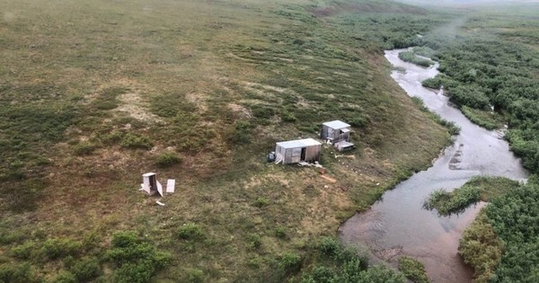 La Nación / Hombre resistió el acoso de un oso durante una semana