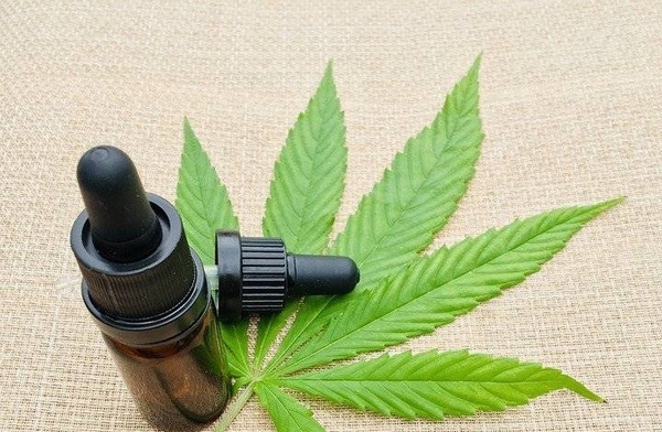 Diario HOY | Colombia autoriza exportación de flor seca de cannabis con fines medicinales