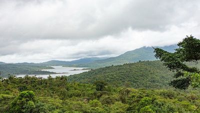 El bosque más nublado de Centroamérica es un poderoso almacén de carbono