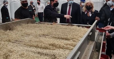 La Nación / Paraguay hace historia en Latinoamérica: primer país exportador de alimentos de cáñamo industrial