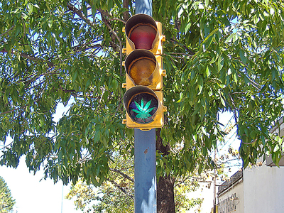 Luz verde para la hierva