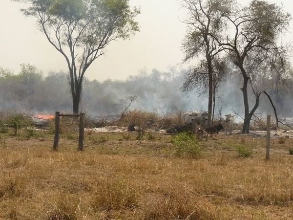 Emergencia Nacional está atenta a posibles incendios forestales a nivel país - Nacionales - ABC Color