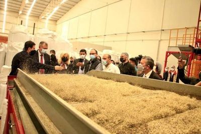 Paraguay exportará por primera vez productos derivados de cannabis no psicoactivo a Europa - Nacionales - ABC Color