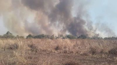 Emergencia Nacional oiméma jesarekópe ikatúva ojeipyso tatarendy ñu rehe - ABC Remiandu - ABC Color