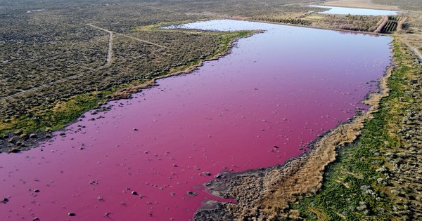 La Nación / La laguna Cerro de Argentina: polución pesquera en Trelew