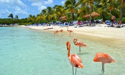 StayPy Internacional: un viaje a Aruba, la isla feliz
