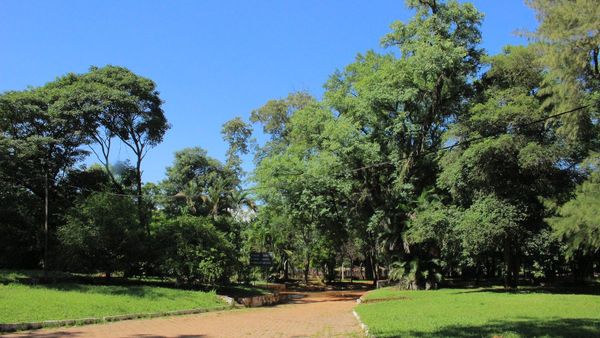 Meteorología anuncia un sábado caluroso y a pleno sol