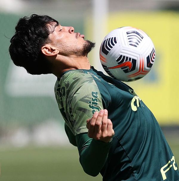 Brasil: Palmeiras de Gómez se afirma en la punta - Fútbol - ABC Color