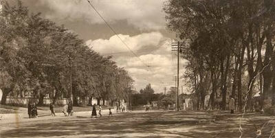 “Fiesta del árbol” en Asunción: Centenario de un evento olvidado