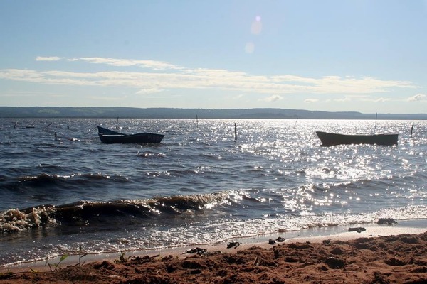 Drones acuáticos en el afán de salvar el contaminado lago de Ypacaraí - ADN Digital