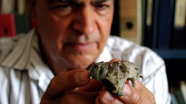 Hallan cocodrilo enano de 148 millones de años en Chile