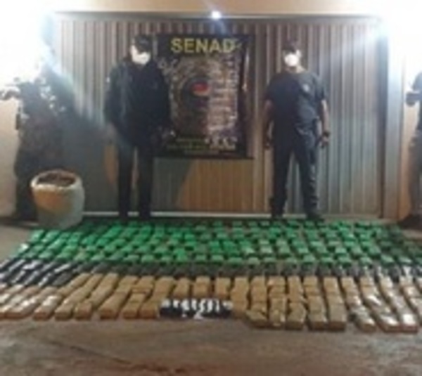 Incautan 200 kilos de marihuana abandonada en Canindeyú - Paraguay.com