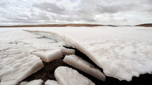 Identifican 28 virus desconocidos en hielo de un glaciar tibetano de hace 15.000 años de antigüedad | Ñanduti