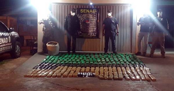 Confiscan más de 200 kilos de marihuana en Canindeyú