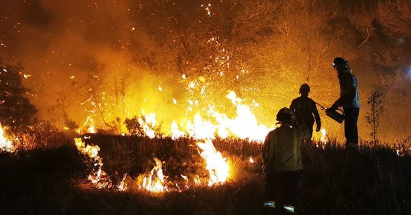 Catástrofe ecológica en España: los incendios arrasan miles de hectáreas en Cataluña | .::Agencia IP::.