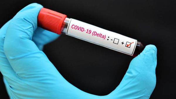 Estirpe delta amenaza con alejar el umbral de inmunidad de grupo – Prensa 5