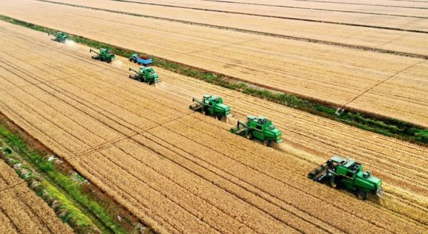 Expertos debatirán sobre perspectivas agrícolas este martes 27 de julio