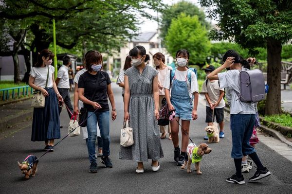 En Japón, una patrulla de perros vigila a los niños - Mascotas - ABC Color