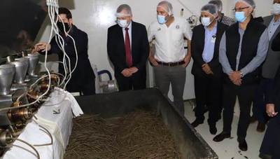 Exportan por primera vez productos derivados del cáñamo industrial a Europa