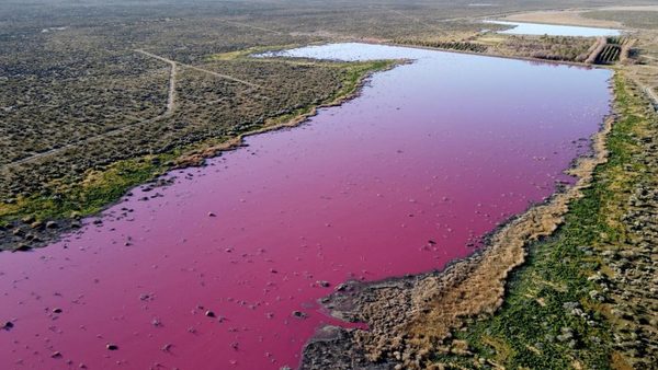 Una laguna se tiñe de rosa debido a la contaminación por el vertido de residuos en Argentina | Ñanduti