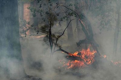 Bomberos logran contener más del 50 % del mayor incendio activo en EE.UU. - Mundo - ABC Color
