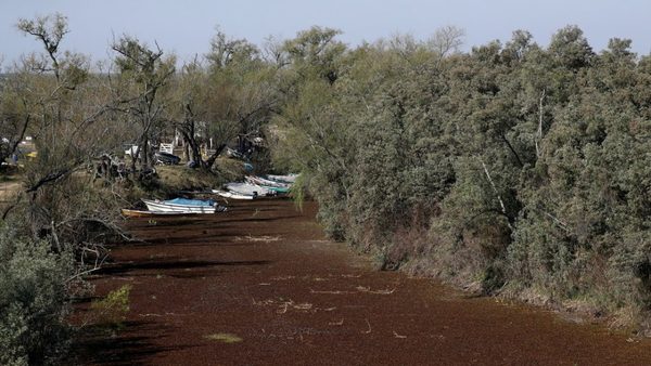 Argentina declara la emergencia hídrica por el histórico descenso del río Paraná | Ñanduti