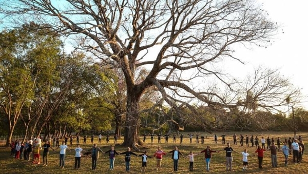 Diario HOY | Continúa la votación del “Árbol de la Gente” de Colosos de la Tierra