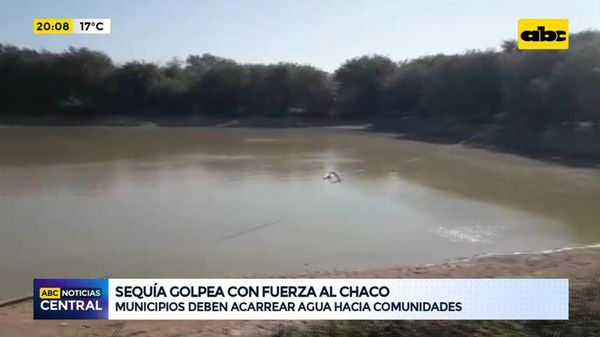 Sequia golpea con fuerza al chaco - ABC Noticias - ABC Color