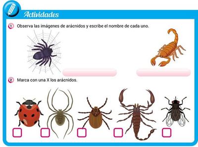 Más sobre los animales - Escolar - ABC Color