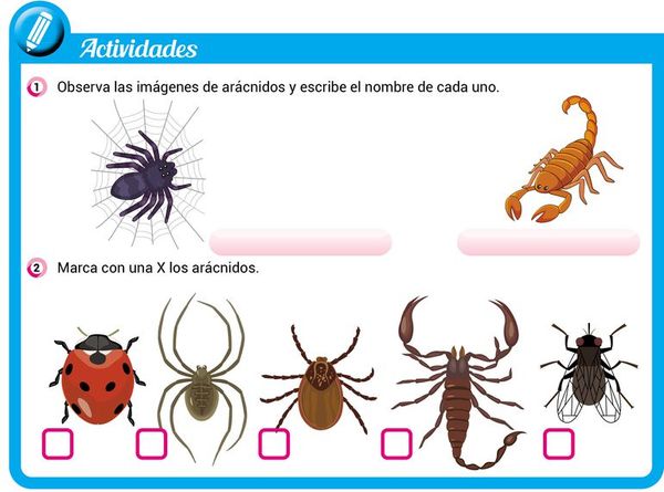Más sobre los animales - Escolar - ABC Color