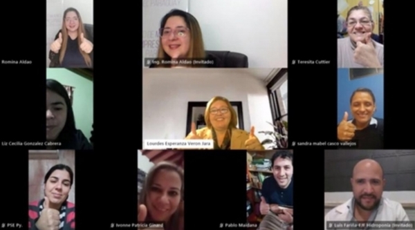 En webinar trataron acerca del Marketing Digital para micro, pequeñas y medianas empresas
