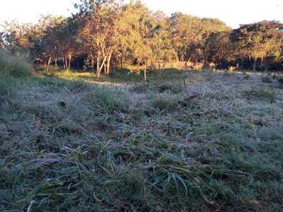 Los productores en alerta ante anuncio de heladas en el Este - La Clave