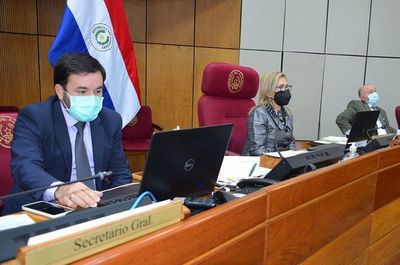 Tras un cuarto intermedio Senado decidirá esta tarde sobre proyecto de consolidación - Nacionales - ABC Color