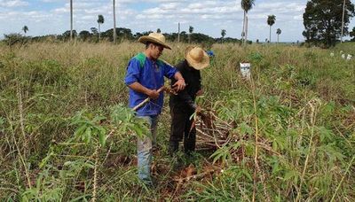 Desconocidos atracaron local comercial perteneciente a los padres del futbolista Robert Rojas