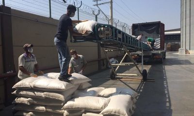 Preparan envíos de cereales a Turquía