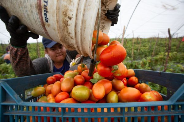 Exportaciones de México suben 29 % con superávit de 1.095 millones de dólares - MarketData