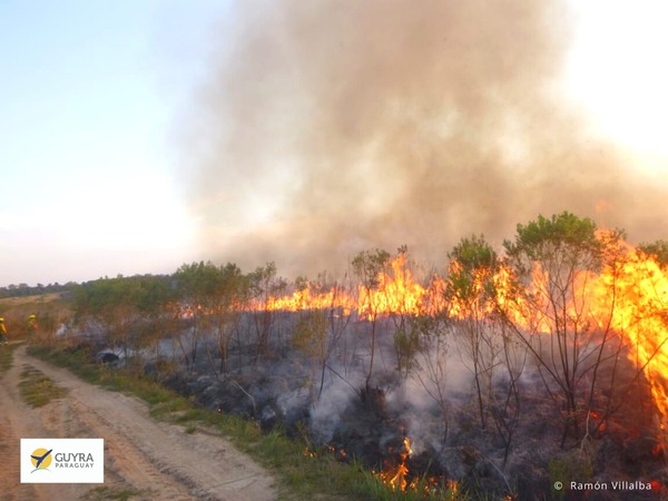 GUARDAPARQUES Y BOMBEROS FORESTALES COMBATEN INCENDIOS EN SAN RAFAEL