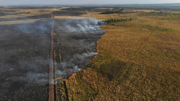 Incendio afectó a parte de la Reserva San Rafael en Itapúa