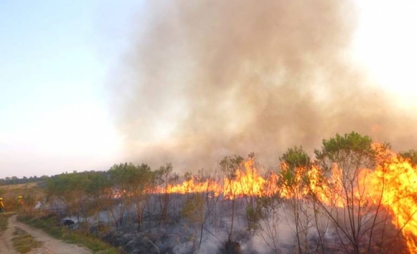Diario HOY | Incendios forestales afectaron la Reserva San Rafael: 60 hectáreas fueron consumidas