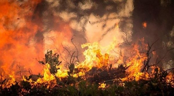 Focos de calor van en aumento debido a quemas de pastizales e incendios forestales
