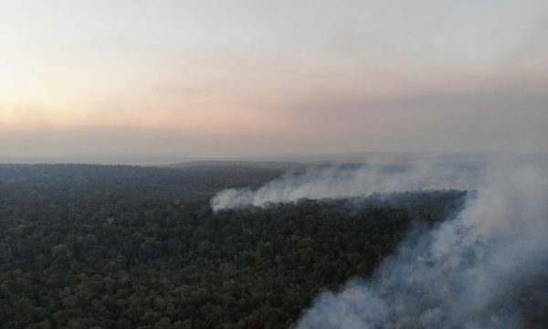 Incendio de gran magnitud afectó a parte de la Reserva San Rafael