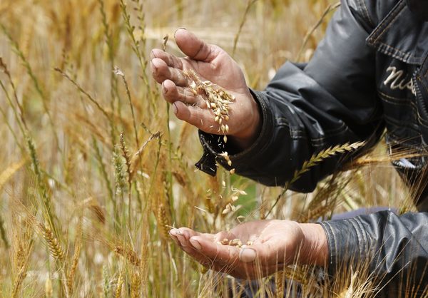 América destaca su posición unida sobre el futuro de la producción de alimentos - MarketData