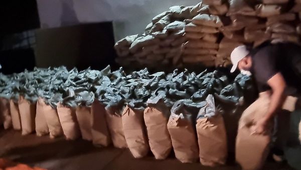 Incautan al menos 3 ton. de cocaína en bolsas de azúcar