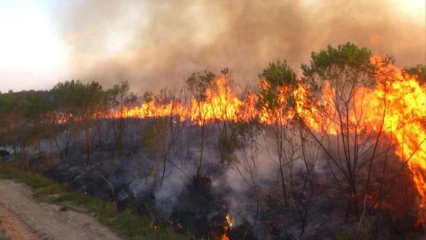 La Reserva San Rafael, de nuevo afectada por incendios