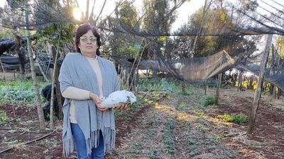 Combo muy perjudicial en Itapúa, con granizos, heladas e incendios