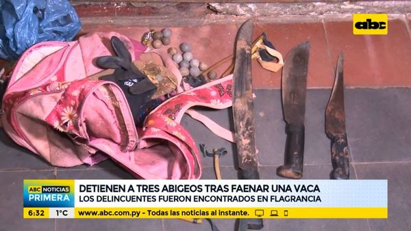 Detienen a tres abigeos tras faenar una vaca en Itá - ABC Noticias - ABC Color